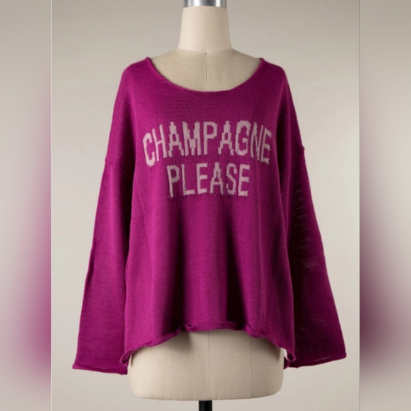 #045 🛑S,L NEW! Chic Champagne Please Long Sleeve Slit Sweater Top - Picture 1 of 1